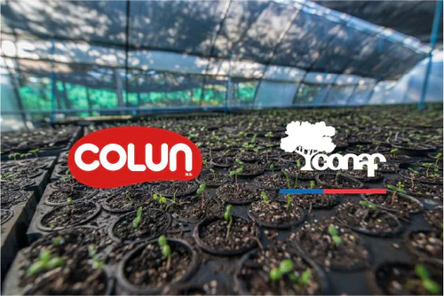 CONVENIO COLUN-CONAF